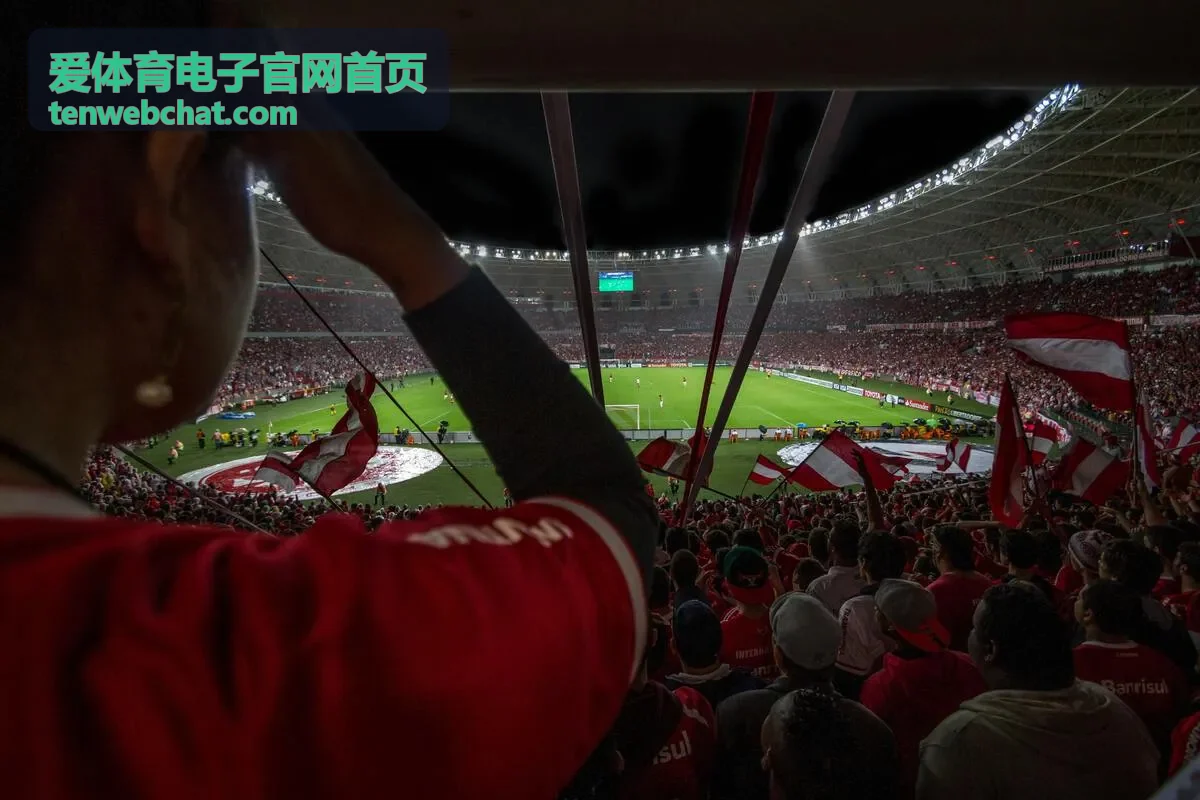 爱体育电子官网首页展示的商业场馆入场核验与灯光联动场景