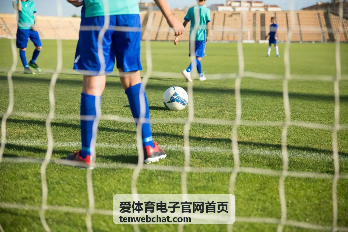 爱体育电子官网首页服务与支持板块的场馆设备季度巡检要点